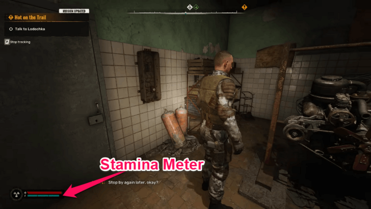 Stamina Meter
