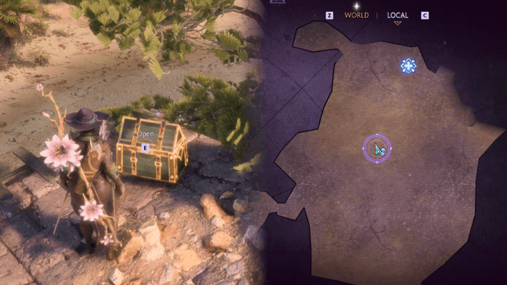 Dragon Age The Veilguard - Rivain Coast Small Chest