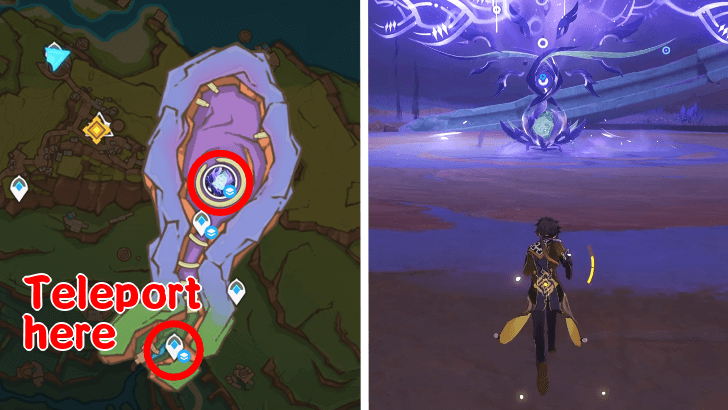 Tenebrous Papilla Location