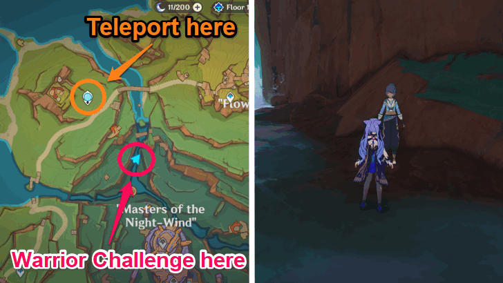 Successfull Collection