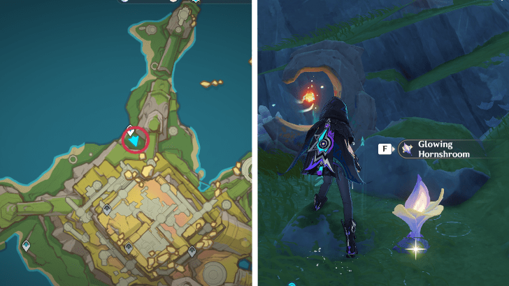 Genshin - Glowing Hornshroom 59