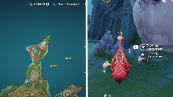 Genshin - Glowing Hornshroom 71-72