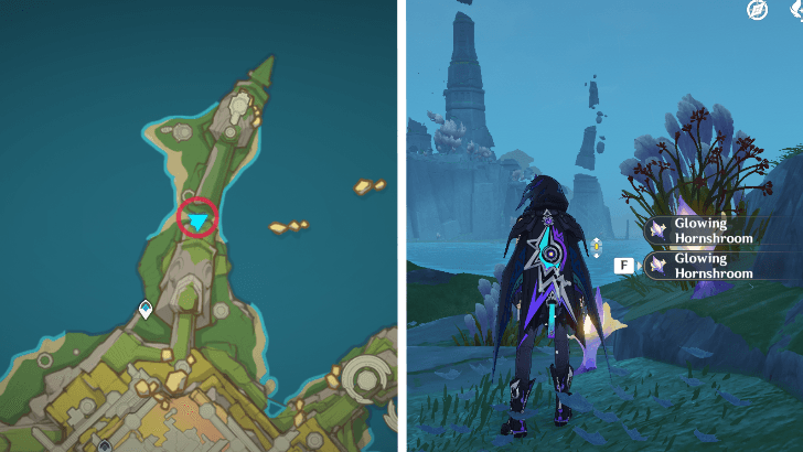 Genshin - Glowing Hornshroom 67-68