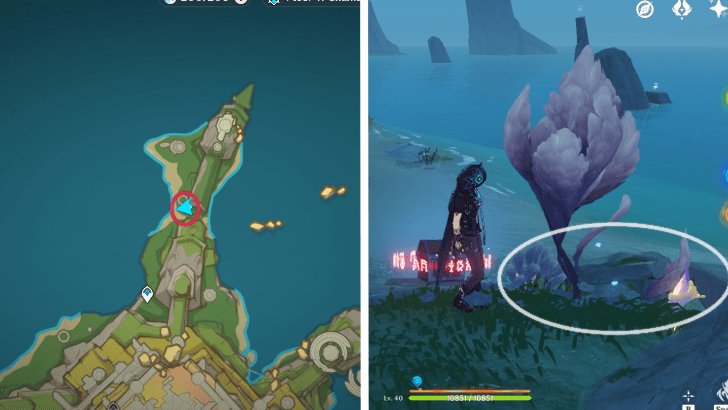 Genshin - Glowing Hornshroom 69-70