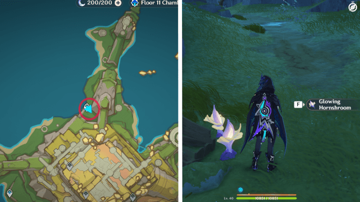 Genshin - Glowing Hornshroom 60-61