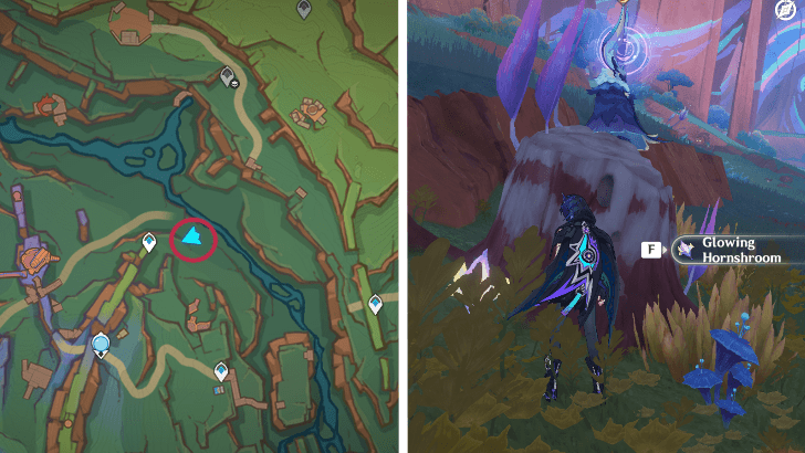 Genshin - Glowing Hornshroom 15