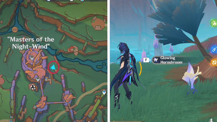 Genshin - Glowing Hornshroom 51