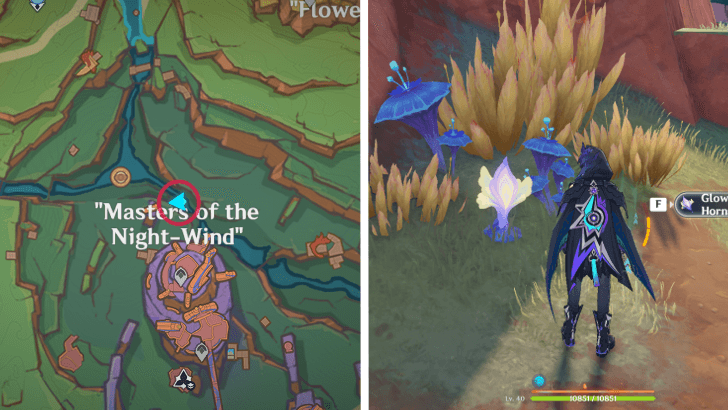 Genshin - Glowing Hornshroom 54