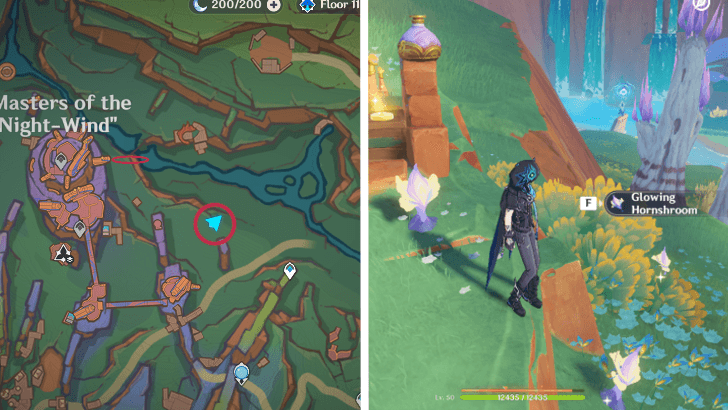 Genshin - Glowing Hornshroom 27-29