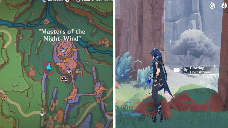 Genshin - Glowing Hornshroom 36