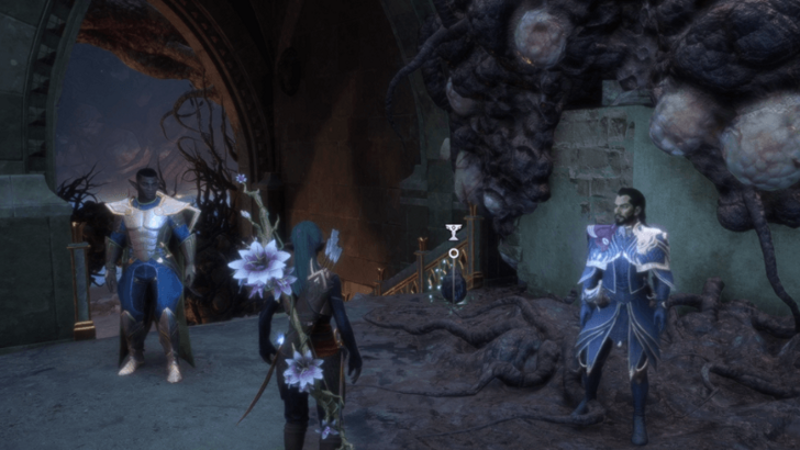 Dragon Age The Veilguard - Dragon