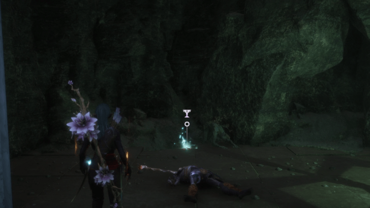 Dragon Age The Veilguard - The Unspoken