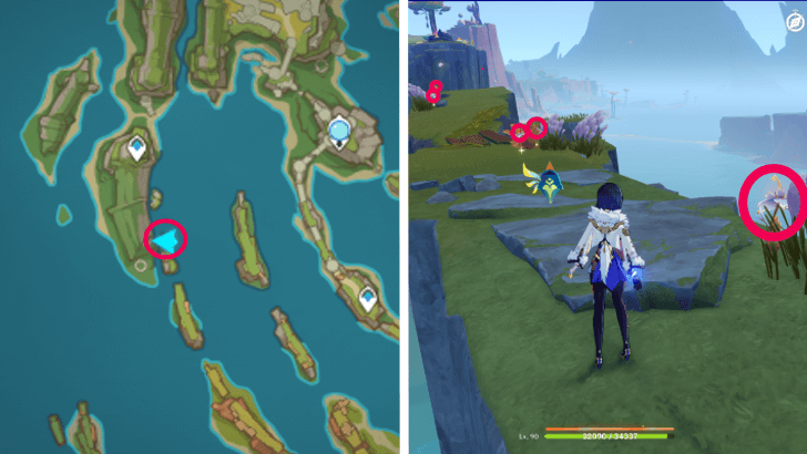 Genshin - Withering Purpurbloom 1-5