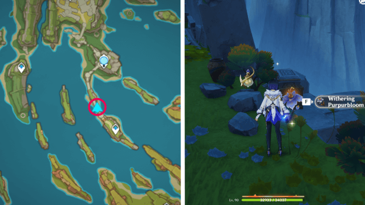 Genshin - Withering Purpurbloom 15