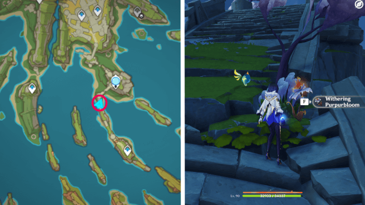 Genshin - Withering Purpurbloom 16