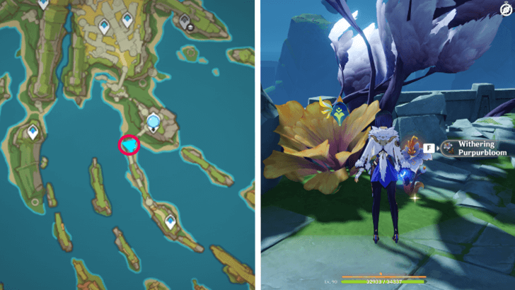 Genshin - Withering Purpurbloom 17