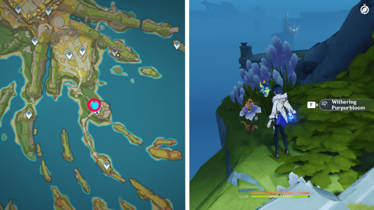 Genshin - Withering Purpurbloom 19