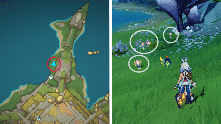 Genshin - Glowing Hornshroom 63-66