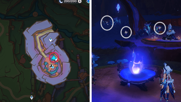 Genshin - Glowing Hornshroom 40-42