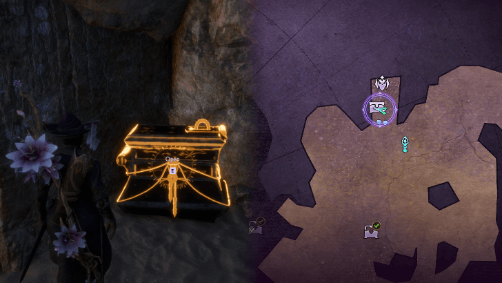 Dragon Age The Veilguard - Rivain Coast Chest