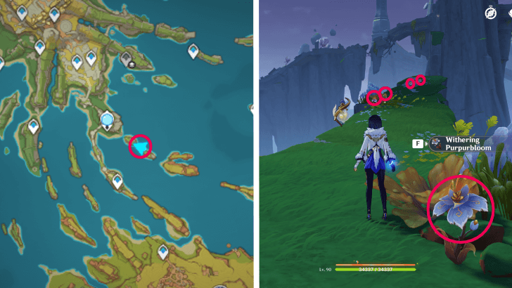 Genshin - Withering Purpurbloom 20-24