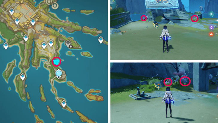 Genshin - Withering Purpurbloom 30-33