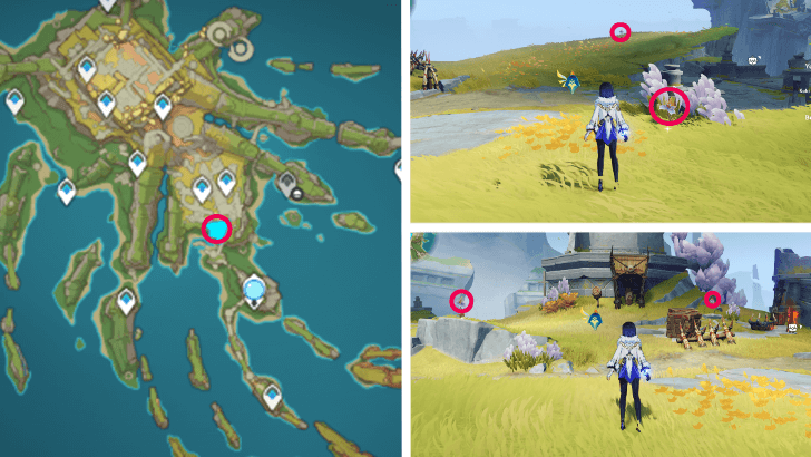 Genshin - Withering Purpurbloom 41-44