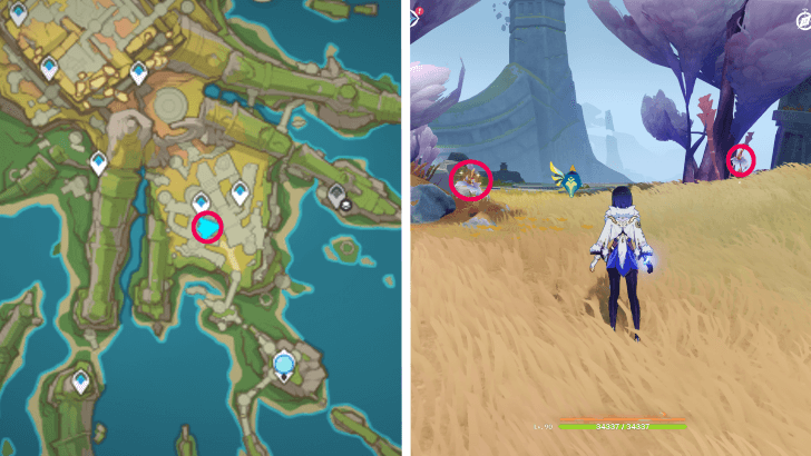 Genshin - Withering Purpurbloom 45-46