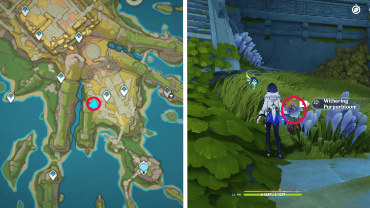 Genshin - Withering Purpurbloom 49