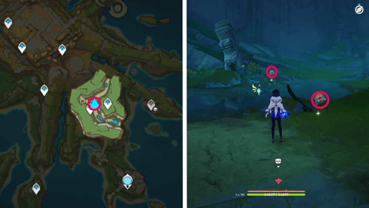 Genshin - Withering Purpurbloom 50-51