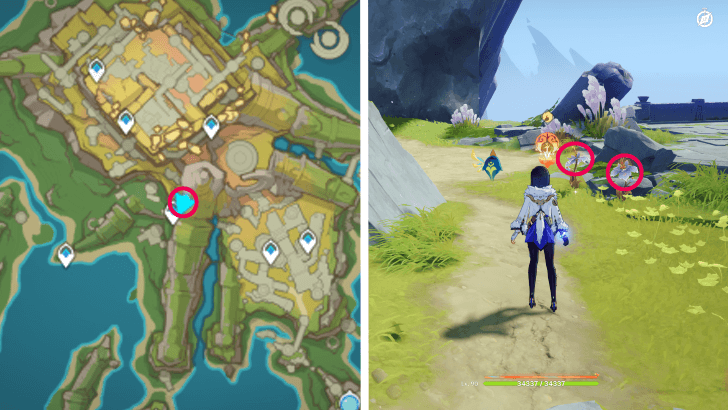 Genshin - Withering Purpurbloom 53-54