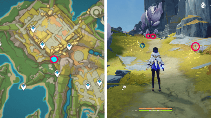 Genshin - Withering Purpurbloom 55-57