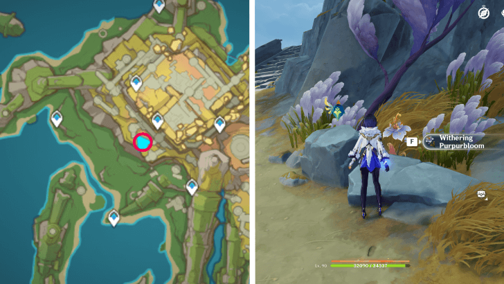 Genshin - Withering Purpurbloom 58