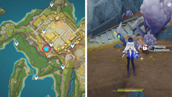 Genshin - Withering Purpurbloom 59