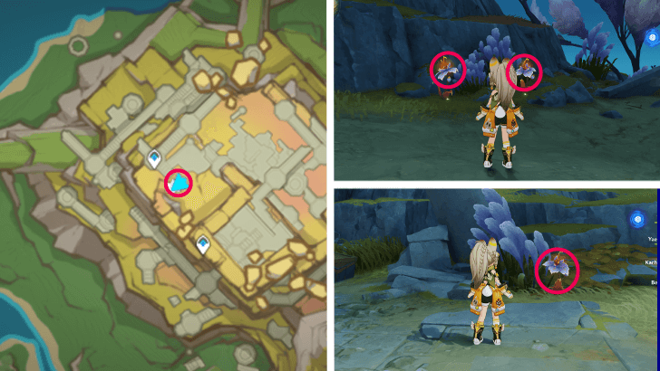 Genshin - Withering Purpurbloom 65-67