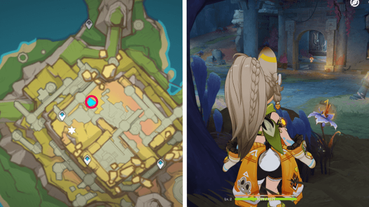 Genshin - Withering Purpurbloom 69