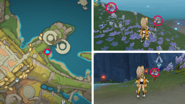 Genshin - Withering Purpurbloom 75-77