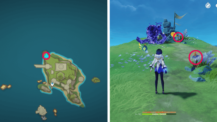 Genshin - Withering Purpurbloom 78-79