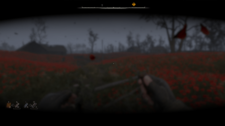 Poppy Field Anomaly