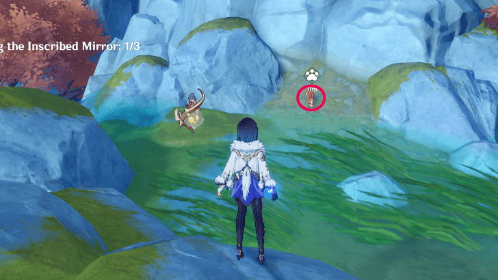 Genshin - Uno Overview Location