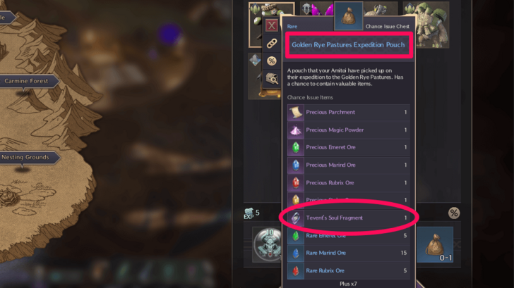 Throne and Liberty - Tevent Soul Fragment Pouch