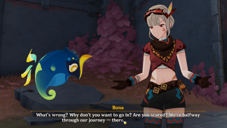 Genshin Impact Bona Story and Profile - Friend to Cocouik.png