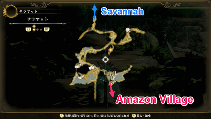 Romancing Saga 2 Go to Amazon Village
