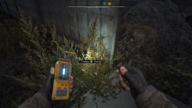 Eastern Checkpoint Pebble