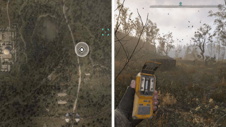 Vortex and Springboard