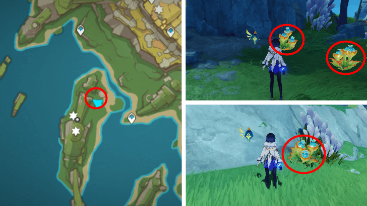 Genshin - Quenepa Berry 35-37