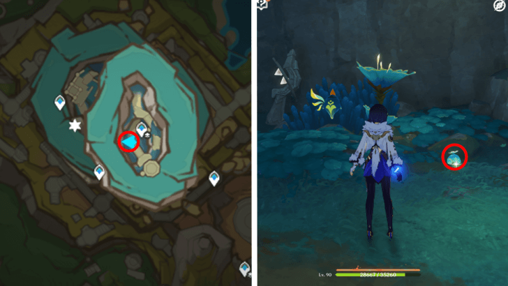 Genshin - Quenepa Berry 38