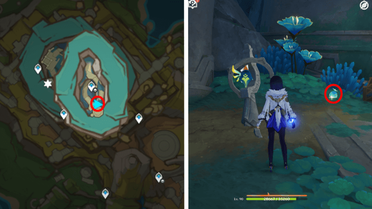 Genshin - Quenepa Berry 39