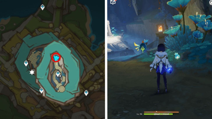 Genshin - Quenepa Berry 40