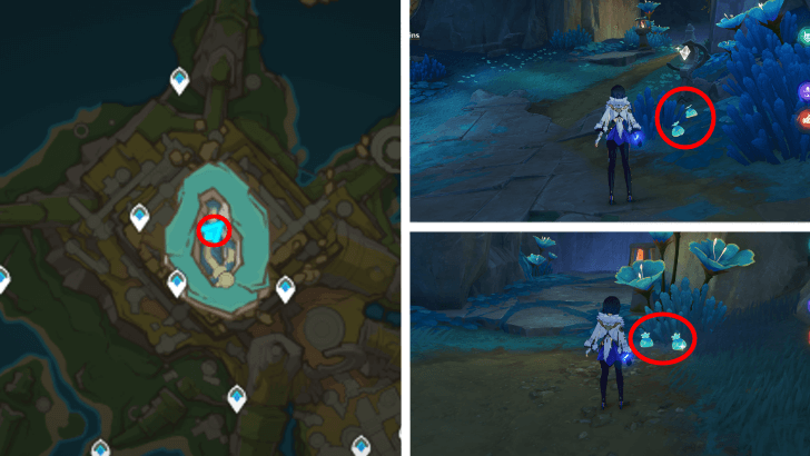 Genshin - Quenepa Berry 41-44